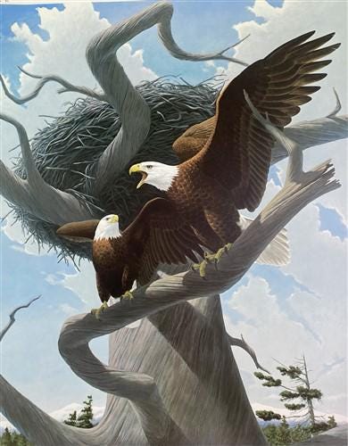Art & Collectibles > Prints > Lithographs - Richard Sloan, Bald Eagle, Signed Print, 28x22, Wade Collection, Plate 40 by T...