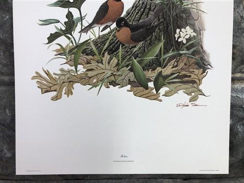 Art & Collectibles > Prints > Lithographs - Richard Sloan, Robin, Signed Print, 11x14, Essay, Sketches, Plate 9 by The Old...