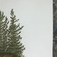 Art & Collectibles > Prints > Lithographs - Richard Timm, Pine Marten, Signed Print, 28x22 Wade Collection, Plate 39 by Th...