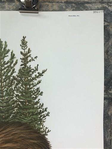 Art & Collectibles > Prints > Lithographs - Richard Timm, Pine Marten, Signed Print, 28x22 Wade Collection, Plate 39 by Th...