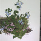 Art & Collectibles > Prints > Lithographs - Maryrose Wampler, Bluebells, Signed Print, 28x22 Wall Art, Plate 27 by The Old...