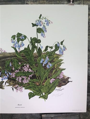 Art & Collectibles > Prints > Lithographs - Maryrose Wampler, Bluebells, Signed Print, 28x22 Wall Art, Plate 27 by The Old...