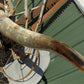 Home & Living > Home Decor > Wall Decor > Wall Hangings - 4'11" Longhorn Mounted Cattle Horns Steer Bull Western Texas Ran...