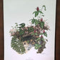Maryrose Wampler, Trillium, Signed Print, 28x22 Wall Art, Plate 21
