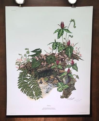 Maryrose Wampler, Trillium, Signed Print, 28x22 Wall Art, Plate 21