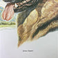 Art & Collectibles > Prints > Lithographs - Ernest Hart, German Shepherd, Signed Dog Print, 16x20, Wade Collection, A by T...