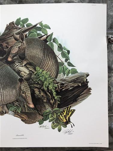 Art & Collectibles > Prints > Lithographs - Richard Timm, Armadillo, Signed Print, 28x22 Wade Collection, Plate 23 by The...
