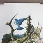 Richard Sloan, Mountain Bluebird, Signed Print, 11x14, Essay, Sketches, Plate 10
