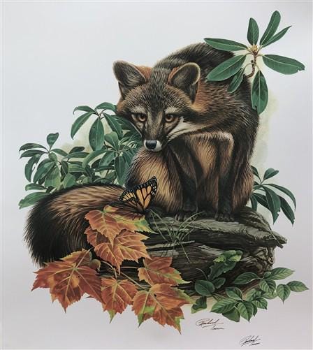 Art & Collectibles > Prints > Lithographs - Richard Timm, Gray Fox, Signed Print, 28x22 Wade Collection, Plate 19 by The O...