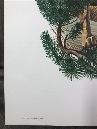 Art & Collectibles > Prints > Lithographs - Richard Timm, Timber Wolf, Signed Print, 28x22 Wade Collection, Plate 34 by Th...