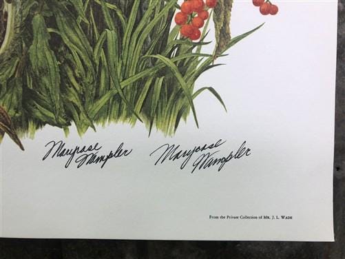 Art & Collectibles > Prints > Lithographs - Maryrose Wampler, Goldenrod, Signed Print, 28x22 Wall Art, Plate 13 by The Old...