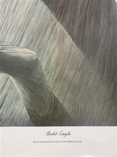 Art & Collectibles > Prints > Lithographs - Richard Sloan, Bald Eagle, Signed Print, 28x22, Wade Collection, Plate 40 by T...