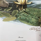 Art & Collectibles > Prints > Lithographs - Richard Timm, Beaver, Signed Print, 28x22 Wade Collection, Plate 11 by The Old...