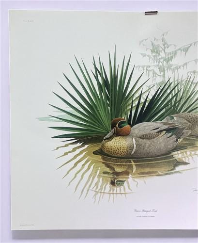 Art & Collectibles > Prints > Lithographs - Richard Sloan, Green Winged Teal, Signed Print, 28x22, Wade Collection, Plate...