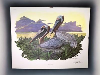 Richard Sloan, Brown Pelican, Signed Print, 28x22, Wade Collection, Plate 17