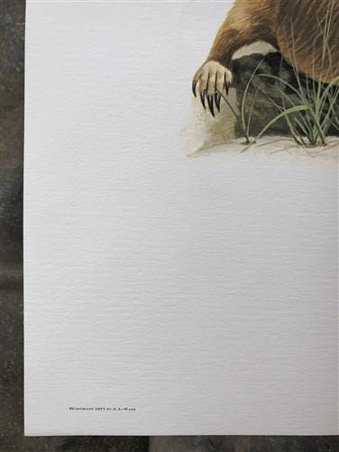 Art & Collectibles > Prints > Lithographs - Richard Timm, Prairie Dog, Signed Print, 28x22 Wade Collection, Plate 29 by Th...