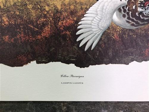 Art & Collectibles > Prints > Lithographs - Richard Sloan, Willow Ptarmigan, Signed Print, 28x22, Wade Collection, Plate 3...