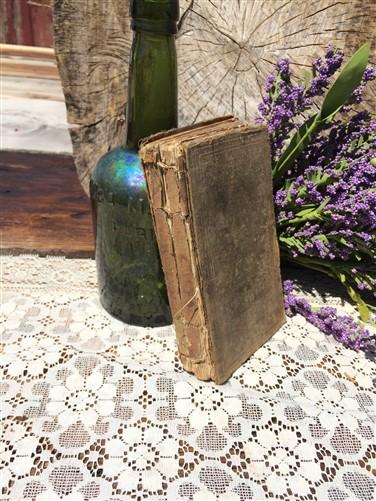 Books - 1851 Gulliver's Travels Illustrated, Swift, Antique Brittish Classic Literature, by The Old Grainery (1851, antiqu...