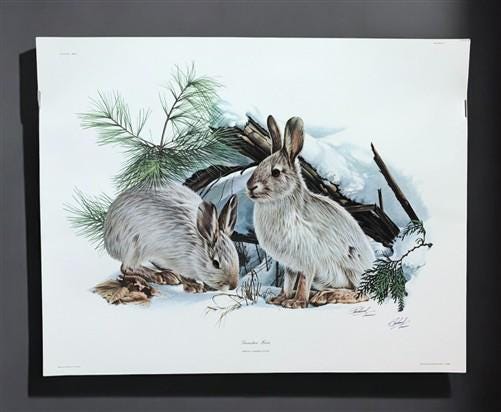 Art & Collectibles > Prints > Lithographs - Richard Timm, Snowshoe Hare, Signed Print, 28x22 Wade Collection, Plate 25 by...