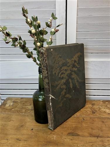 Books - 1883 Highways and Byways, William Hamilton Gibson, Victorian Illustrations by The Old Grainery (antique book, Book...