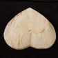 Dough Bowls - White Wood Heart Bread Dough Bowl, Rustic French Country Carved Centerpiece A9 by The Old Grainery (bread bo...