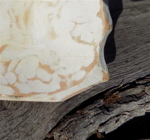 White Wood Bowl, Rustic Farmhouse Table Decor, Mini Carved Wood Bread Bowl G,