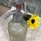 Vintage European Seltzer Bottle, Colored Glass, Soda Siphon, French Country B6,