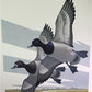 Art & Collectibles > Prints > Lithographs - Richard Sloan, Lesser Scaup, Signed Print, 28x22, Wade Collection, Plate 49 by...