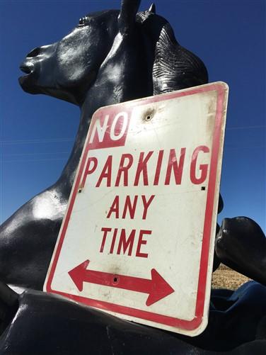No Parking Any Time Street Sign, 24x18 Vintage Metal Road Sign