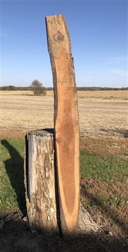 Lumber - Live Edge Raw Board, Natural Unfinished Sawn Wood Lumber, Rustic Hardwood Q, by The Old Grainery (accent, bark, c...