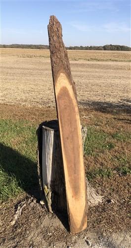 Lumber - Live Edge Raw Board, Natural Unfinished Sawn Wood Lumber, Rustic Hardwood R, by The Old Grainery (accent, art cra...