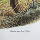 Art & Collectibles > Prints > Lithographs - Ernest Hart, Irish Setter, Signed Dog Print, 28x22, Wade Collection, Plate 4 b...