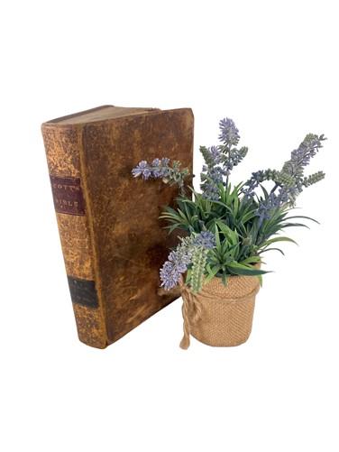 Book - 1823 Thomas Scott Bible Old New Testaments Vol 3, Leather Job to Solomons Song, by The Old Grainery (1823, 3rd bost...