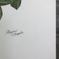 Art & Collectibles > Prints > Lithographs - Maryrose Wampler, Magnolia, Signed Print, 28x22 Wall Art, Plate 12 by The Old...