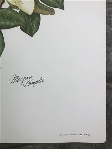 Art & Collectibles > Prints > Lithographs - Maryrose Wampler, Magnolia, Signed Print, 28x22 Wall Art, Plate 12 by The Old...