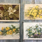 Wall Art - 4 Floral Art Prints, Magnolias, Alamandar, Liserons, Bruyere, Vintage Wall Art by The Old Grainery (cinema, Gol...