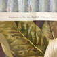 Wall Art - 4 Floral Art Prints, Magnolias, Alamandar, Liserons, Bruyere, Vintage Wall Art by The Old Grainery (cinema, Gol...