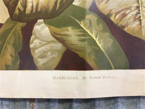 Wall Art - 4 Floral Art Prints, Magnolias, Alamandar, Liserons, Bruyere, Vintage Wall Art by The Old Grainery (cinema, Gol...