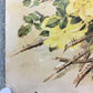 Wall Art - 4 Floral Art Prints, Magnolias, Alamandar, Liserons, Bruyere, Vintage Wall Art by The Old Grainery (cinema, Gol...