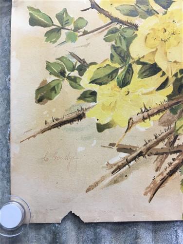 Wall Art - 4 Floral Art Prints, Magnolias, Alamandar, Liserons, Bruyere, Vintage Wall Art by The Old Grainery (cinema, Gol...