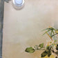 Wall Art - 4 Floral Art Prints, Magnolias, Alamandar, Liserons, Bruyere, Vintage Wall Art by The Old Grainery (cinema, Gol...