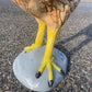 Metal rooster - Large Hen Garden Statue, Farm Animal Yard Decor, Rustic Chicken Outdoor Figure by The Old Grainery (bird s...
