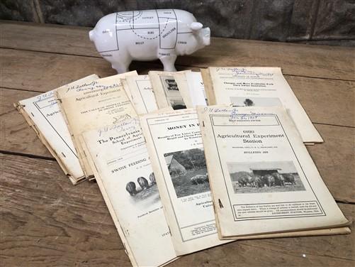1928 Hog Swine Pig Brochures AG Extension, Beef Cattle, Agricultural Reference,