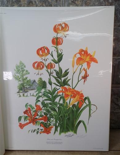 Maryrose Wampler Original Lithograph Folio, 30 North American Flower Plates by The Old Grainery (1970s, 28 x 22, art prints)