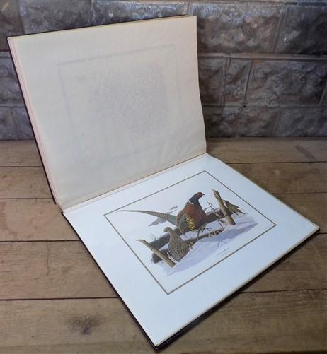 Richard Sloan Original Lithograph Folio, 23 Matted North American Bird Plates B, by The Old Grainery (art print, art print...