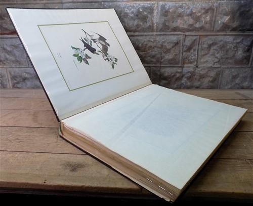 Lithograph folio - Richard Sloan Original Lithograph Folio, 41 Matted North American Bird Plates C, by The Old Grainery (a...