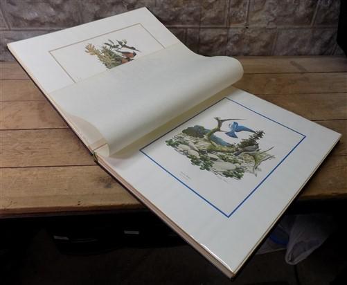 Lithograph folio - Richard Sloan Original Lithograph Folio, 30 Matted North American Bird Plates D, by The Old Grainery (a...