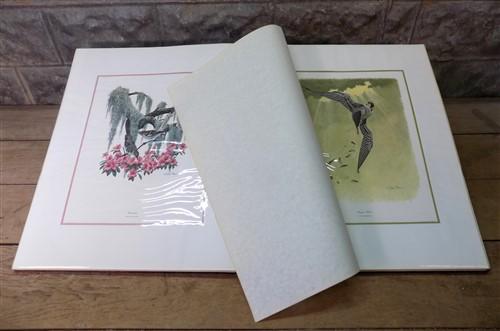 Lithograph folio - Richard Sloan Original Lithograph Folio, 29 Matted North American Bird Plates E, by The Old Grainery (a...