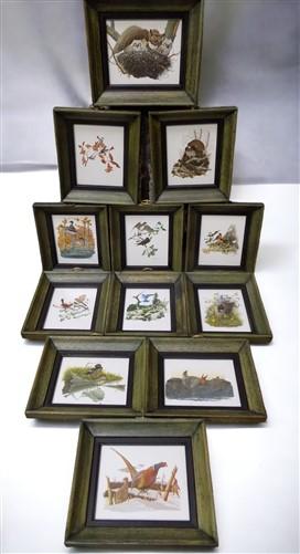 framed minature Richard Sloan art prints - 12 Miniature 4x5 Richard Sloan Framed North American Bird Prints, Nature House,...