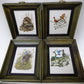 framed minature Richard Sloan art prints - 12 Miniature 4x5 Richard Sloan Framed North American Bird Prints, Nature House,...